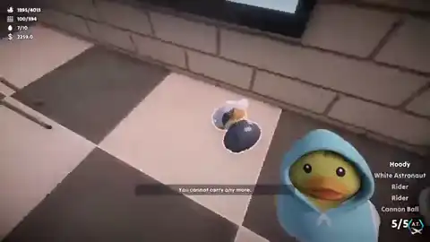 Sort Them Ducks carry limit: inventory full at 5/5 with You cannot carry any more